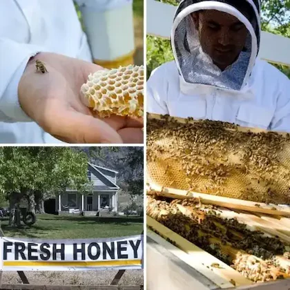 Pure Raw Honey From Utah